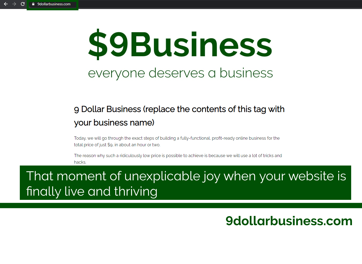 When your business goes live - 9 dollar business